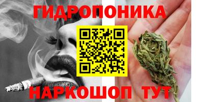 a pvp Аша