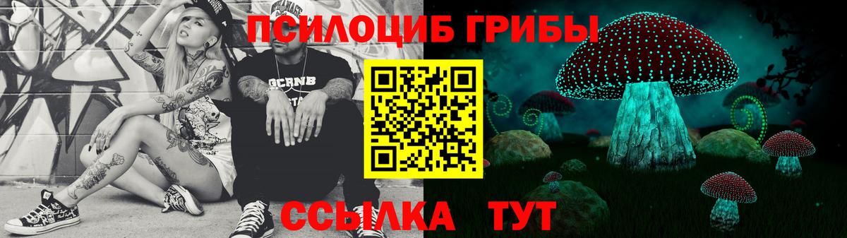 Бугуруслан  Галлюциногенные грибы прущие грибы  Галлюциногенные грибы MAGIC MUSHROOMS  Вход с VPN 